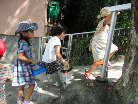 img0047.jpg
