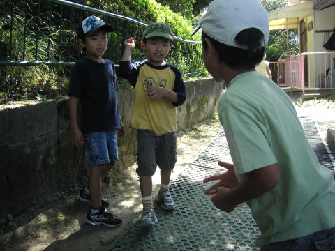 img0010.jpg