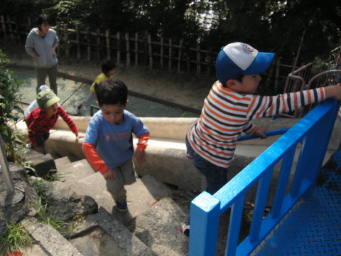 img0006.jpg