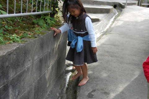 img0008.jpg