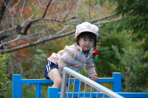 img0015.jpg