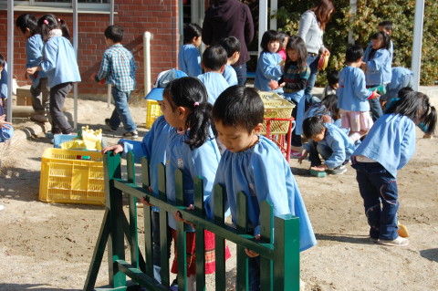 img0015.jpg