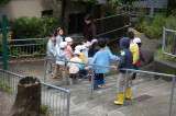 img0005.jpg