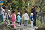 img0007.jpg