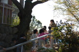img0011.jpg