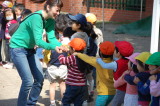 img0017.jpg