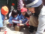 img0009.jpg