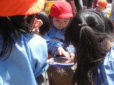 img0010.jpg