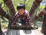 img0011.jpg