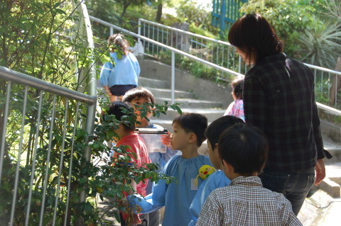 img0002.jpg
