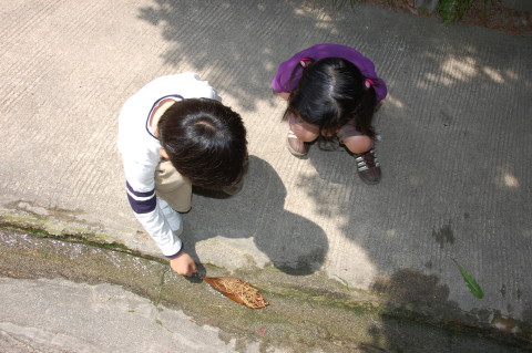 img0029.jpg