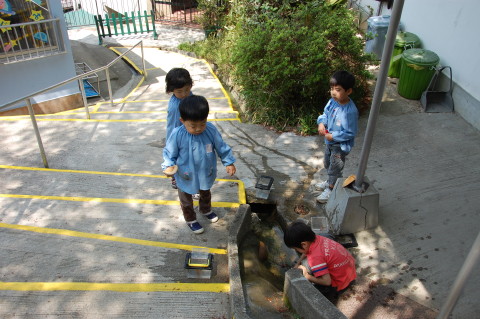img0030.jpg