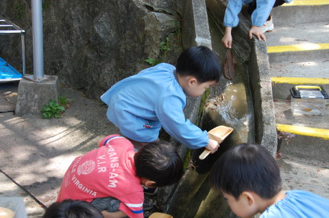 img0031.jpg