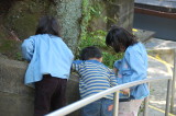 img0003.jpg