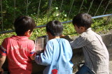img0004.jpg