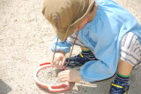 img0006.jpg
