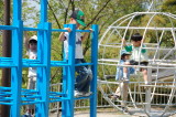 img0008.jpg