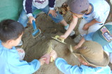 img0017.jpg