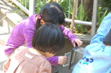 img0024.jpg