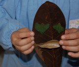 img0027.jpg