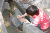 img0028.jpg