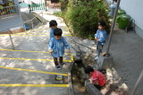 img0030.jpg