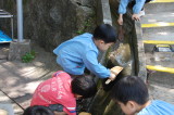img0031.jpg