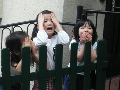 img0004.jpg