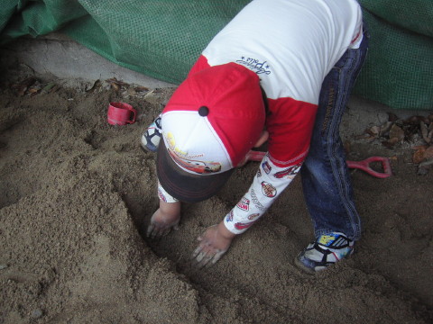 img0016.jpg