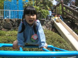 img0012.jpg