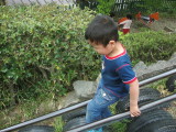 img0018.jpg