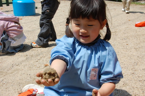 img0012.jpg