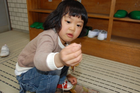 img0018.jpg