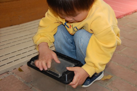 img0020.jpg