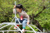 img0003.jpg