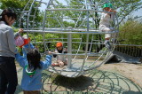 img0013.jpg