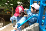 img0016.jpg