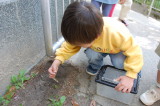 img0021.jpg