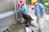 img0023.jpg
