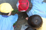 img0024.jpg