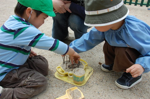 img0013.jpg