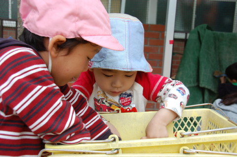 img0016.jpg
