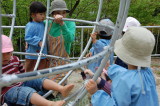 img0009.jpg