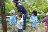 img0010.jpg