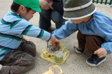 img0013.jpg
