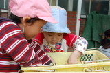 img0016.jpg