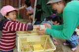 img0017.jpg