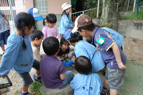 img0018.jpg