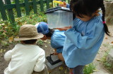 img0007.jpg