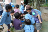 img0018.jpg